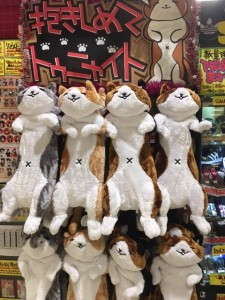 抱きしめてトゥニャイト