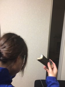 立春ですね