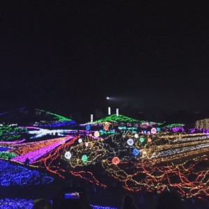 IMG_1230